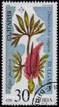 Sellos de Europa - Bulgaria -  SG 3590