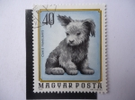 Stamps Hungary -  Canis Familiaris - Magyar Posta.