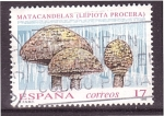 Stamps Spain -  serie- Micologia