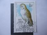 Sellos de Europa - Hungra -  Fauna:Gyongybacoly-Tyto Alba - Magyar Posta.