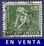 Stamps India -  INDIA Plucking tea 0.15