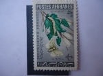 Stamps Asia - Afghanistan -  Día de la Agricultura - Gusano de Seda (Bombyx Mori) y Mariposa (Morus Sp)