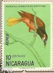 Sellos de America - Nicaragua -  Nicaraguan Birds - Oropéndola