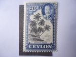 Stamps Sri Lanka -  Coconut Palms. Postage and revenue