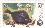 Stamps Poland -  pesca PZW