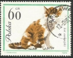 Stamps Poland -  Gato europeo (1471)