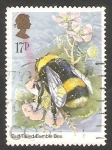 Stamps United Kingdom -  1173 - Insecto del Reino Unido, un abejorro