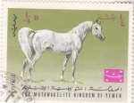 Stamps Yemen -  caballo de raza