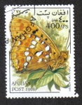 Stamps Asia - Afghanistan -  Mariposas