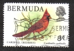 Stamps Bermuda -  Cardinal