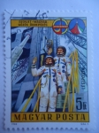 Stamps Hungary -  Vuelo Espacial conjunto Hungaro-Sovietico.