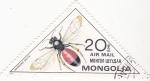 Stamps Mongolia -  insecto- andrena scita