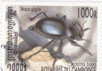 Stamps Cambodia -  insecto-