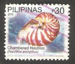 Stamps Philippines -  3485 - Biodiversidad marina, nautilus pompilus