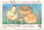 Stamps Spain -  (275) MICOLOGIA. NÍSCALO. Lactarius deliciosus. EDIFIL 3282
