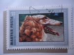 Stamps Hungary -  Magyar Posta - Fauna 