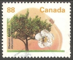 Stamps Canada -  albaricoque