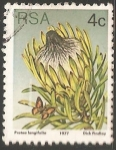 Stamps South Africa -  Protea longifolia 