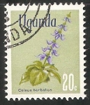 Stamps Uganda -  Coleus barbatus