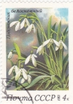 Stamps Russia -  flores