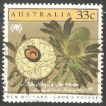 Stamps Australia -  Banksia serrata