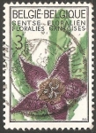 Stamps Belgium -  Cactus 