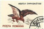 Sellos de Europa - Rumania -  AVES. ÁGUILA DORADA. Aquila chrysaetos. YVERT RO 4066