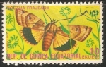 Sellos de Africa - Guinea Ecuatorial -  noctua frajeada