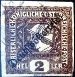 Stamps Europe - Austria -  Intercambio ma4xs 0,85 usd 2 h. 1919