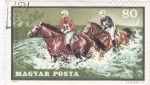 Stamps Hungary -  carrera hípica