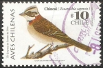 Stamps America - Chile -  Aves chilenas-chincol-chingolo