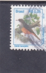 Sellos de America - Brasil -  ave- turdus rufiventris