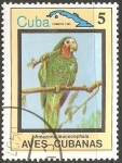 Stamps Cuba -  Aves cubanas-amazona leucocephala