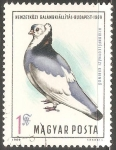 Stamps Hungary -  Pidgeon Exhibition, Budapest 1969-Paloma