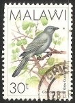 Stamps Malawi -  Grey cuckoo shrike