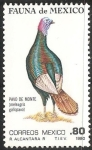 Stamps Mexico -  Pavo de monte