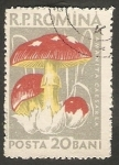 Stamps Romania -  Champiñón amanita caesarea