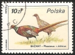 Sellos de Europa - Polonia -  phasianus cochicus-faisan comun