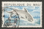 Stamps : Africa : Mali :  Pez hydrocyon forskali