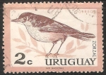 Stamps Uruguay -  Zorzal