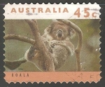 Sellos de Oceania - Australia -  Koala