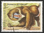 Sellos del Mundo : Africa : Guinea_Bissau : Macacos africanos- mono