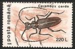 Sellos de Europa - Rumania -  Cerambyx cerdo