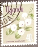 Stamps Uganda -  Intercambio 0,20 usd  40 cent. 1969