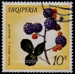 Stamps Albania -  SG 1502