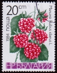 Sellos de Europa - Bulgaria -  SG 3145