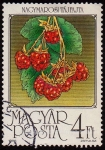 Stamps Hungary -  SG 3724