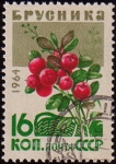 Sellos de Europa - Rusia -  SG 3074