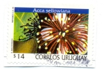 Stamps America - Uruguay -  