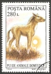 Sellos del Mundo : Europe : Romania : 4220 - Potro, animal doméstico 